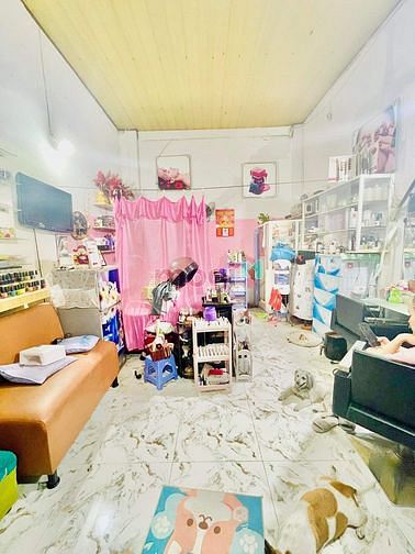 4251126 ảnh đại diện 2