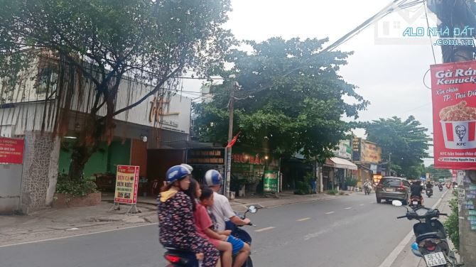 4251335 ảnh đại diện 2