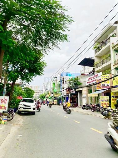 4252199 ảnh đại diện 1