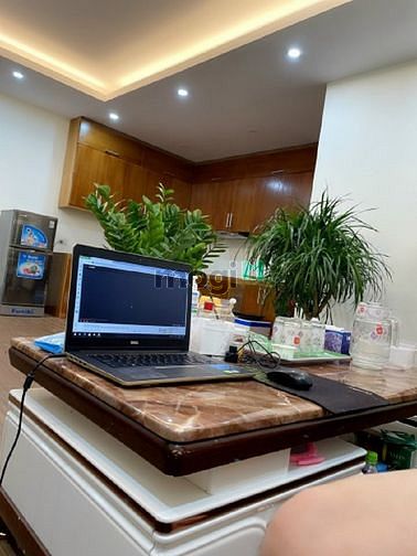 4251639 ảnh đại diện 1