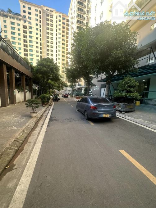 4250390 ảnh đại diện 1
