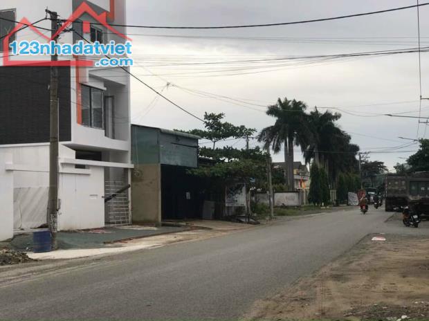 4250010 ảnh đại diện 1