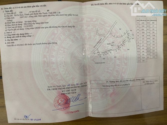 4254158 ảnh đại diện 1