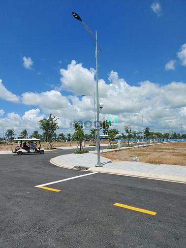 4255331 ảnh đại diện 1