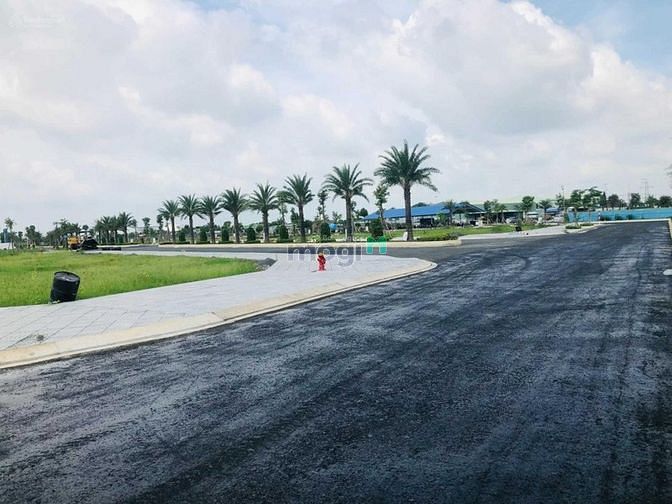 4255321 ảnh đại diện 1