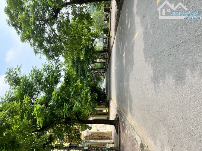 4252611 ảnh đại diện 1