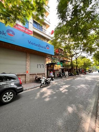 4253749 ảnh đại diện 2