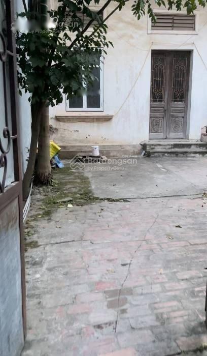 4254666 ảnh đại diện 2