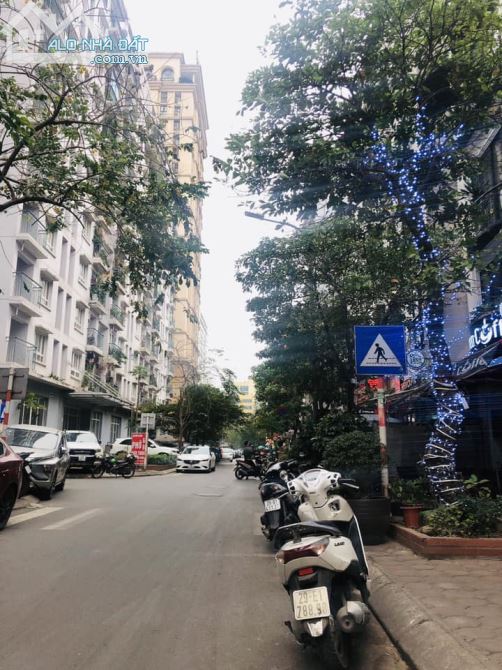 4252966 ảnh đại diện 1