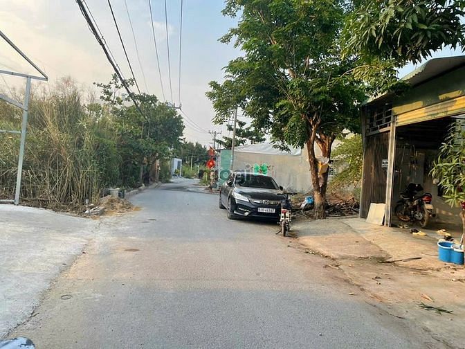 4254982 ảnh đại diện 1