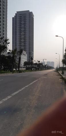 4254656 ảnh đại diện 1