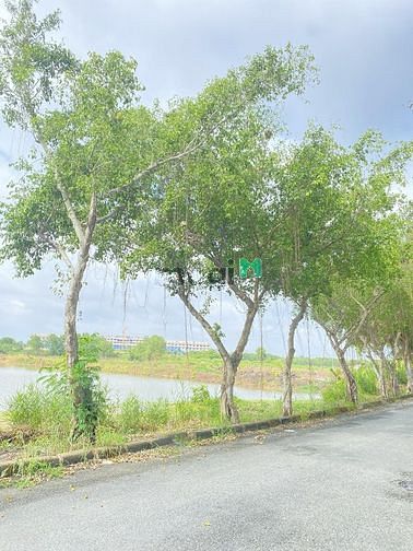 4254987 ảnh đại diện 1