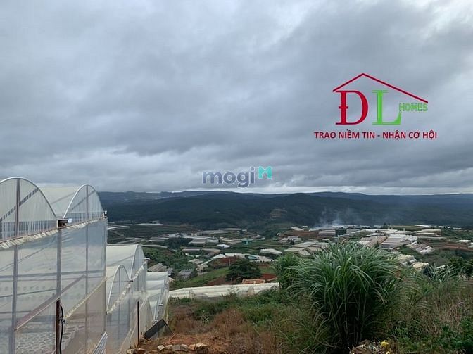 4253114 ảnh đại diện 1