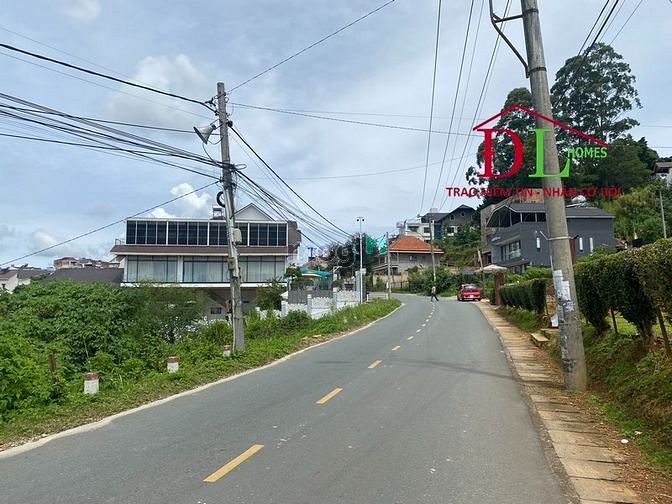 4253115 ảnh đại diện 2