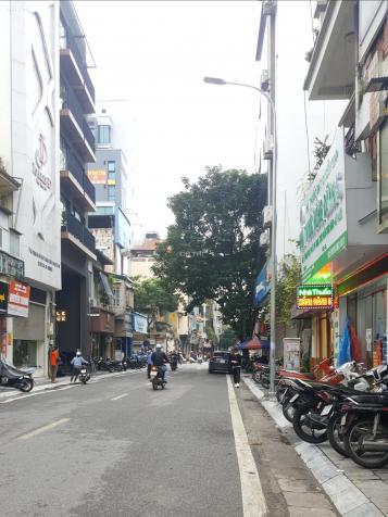 4254641 ảnh đại diện 1