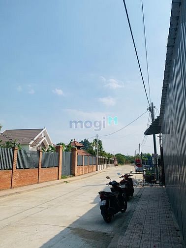 4254899 ảnh đại diện 2