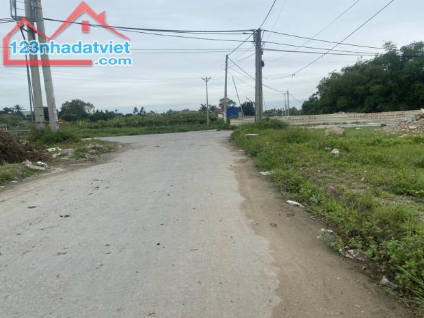 4252709 ảnh đại diện 1