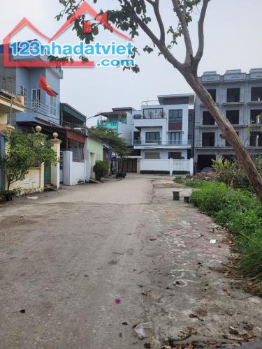 4252710 ảnh đại diện 2
