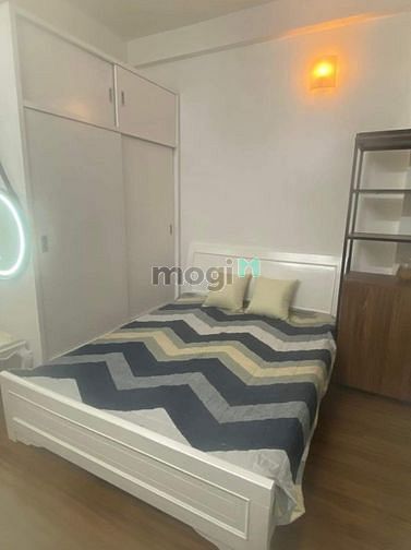 4253183 ảnh đại diện 1