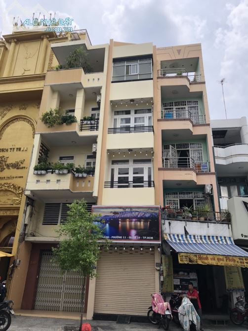 4253679 ảnh đại diện 1