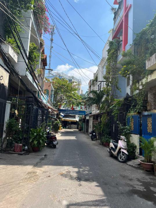 4254725 ảnh đại diện 1
