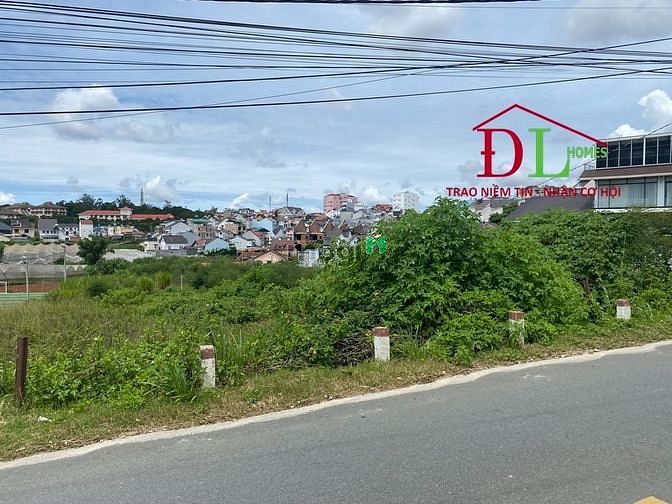 4253115 ảnh đại diện 1