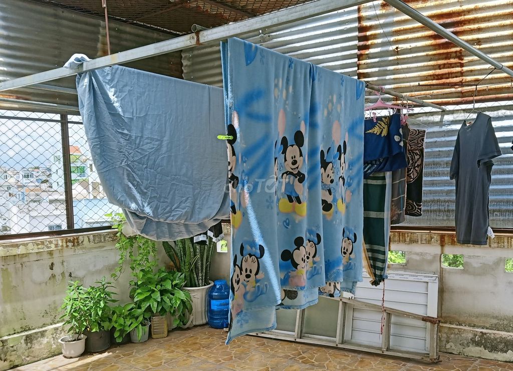4253886 ảnh đại diện 2