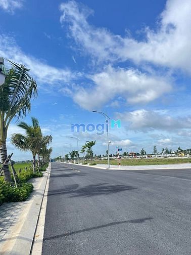 4255323 ảnh đại diện 1