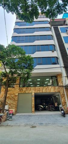 4253701 ảnh đại diện 1