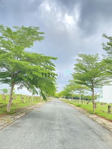 4254987 ảnh đại diện 1