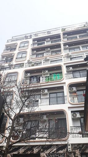 4255116 ảnh đại diện 1