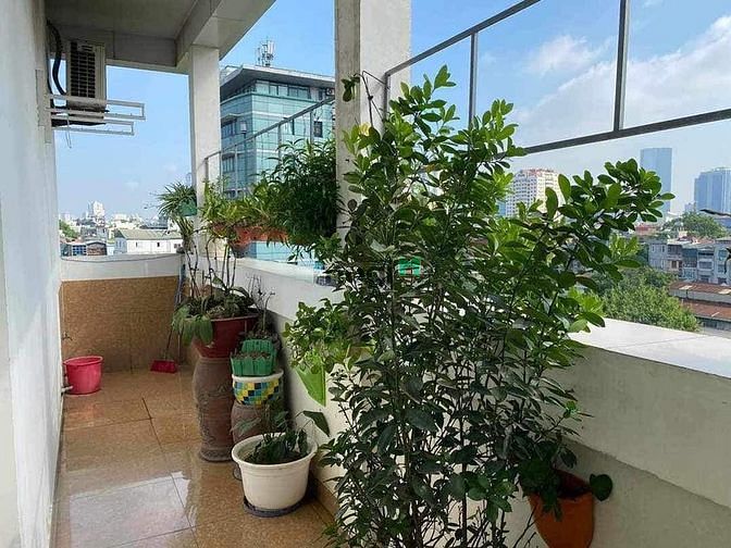 4253749 ảnh đại diện 1