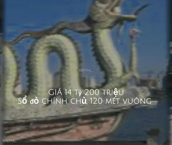 4253774 ảnh đại diện 1