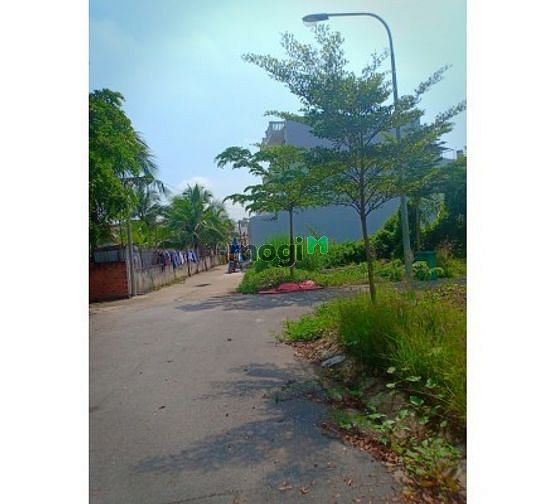 4254989 ảnh đại diện 1