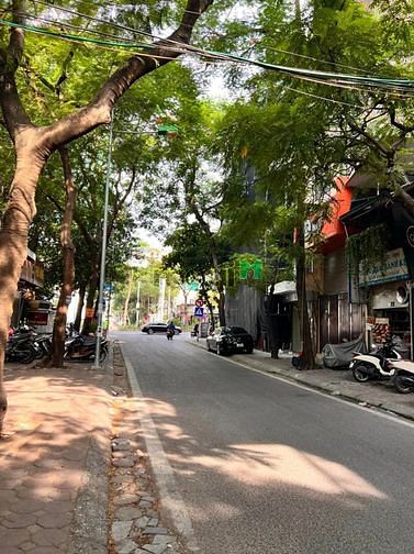4253749 ảnh đại diện 1