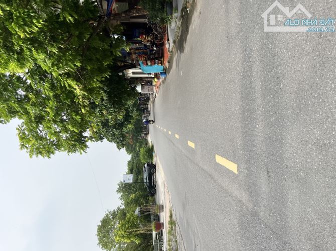 4252611 ảnh đại diện 2