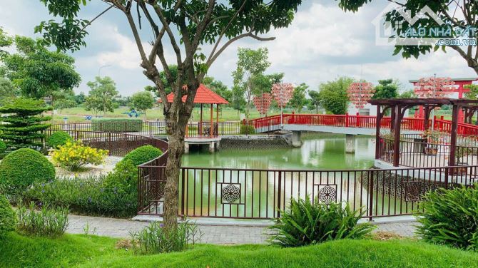 4252906 ảnh đại diện 2