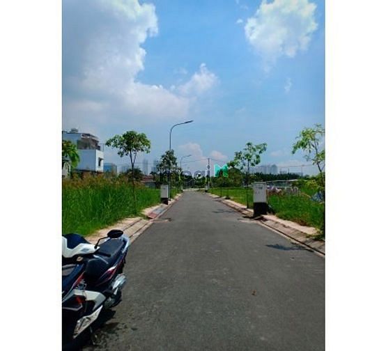 4254989 ảnh đại diện 1
