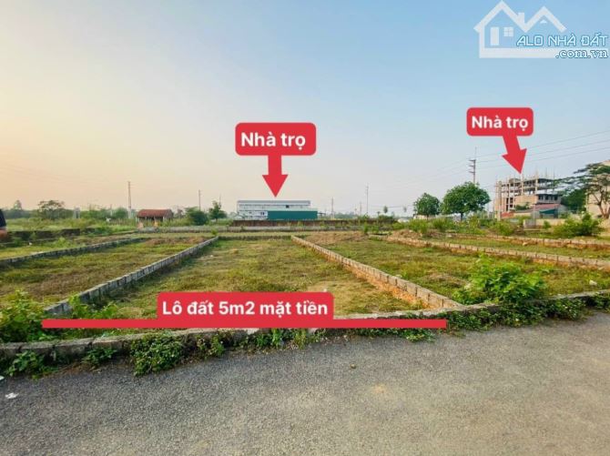 4252763 ảnh đại diện 1