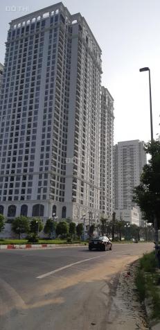 4254656 ảnh đại diện 2