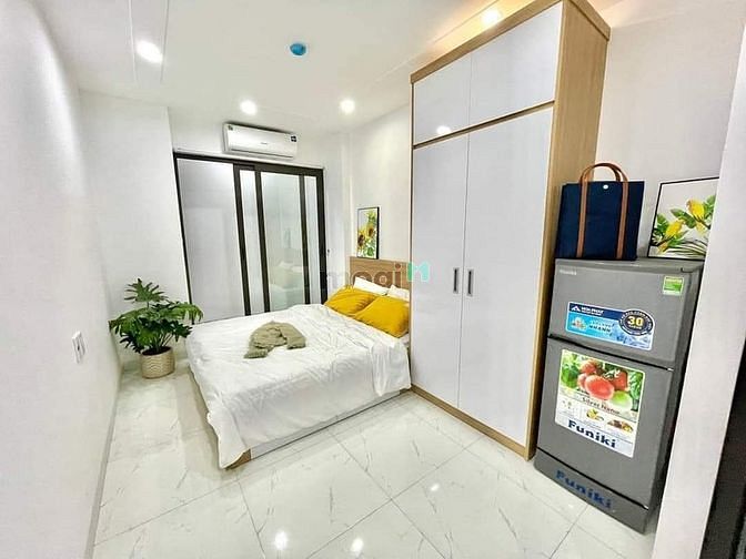 4255115 ảnh đại diện 2