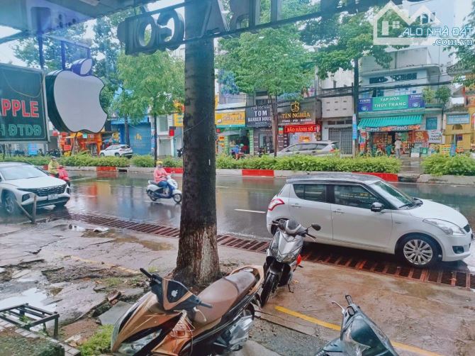 4254430 ảnh đại diện 2