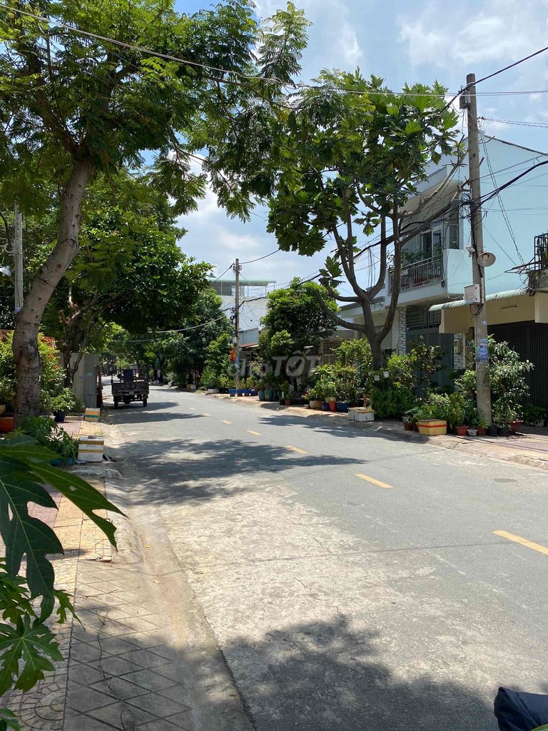4253782 ảnh đại diện 2