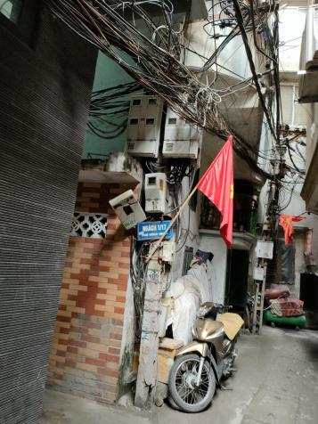 4253315 ảnh đại diện 2