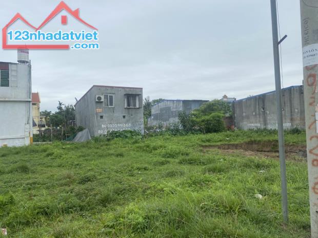 4252709 ảnh đại diện 2