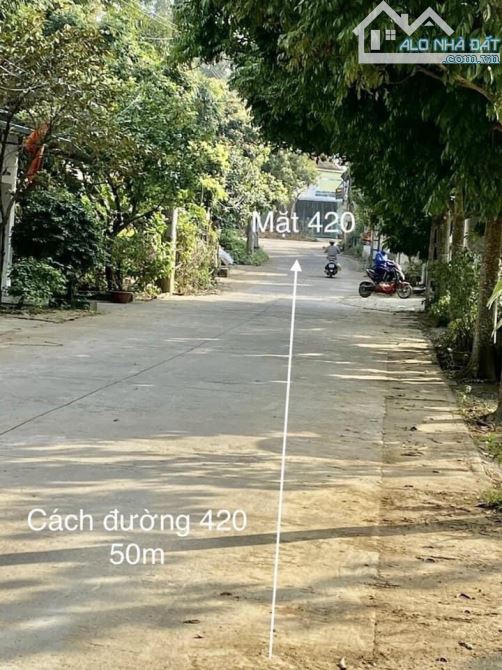 4252763 ảnh đại diện 2