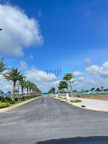 4255325 ảnh đại diện 2