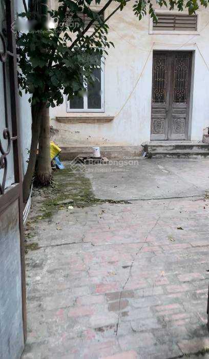 4254664 ảnh đại diện 2