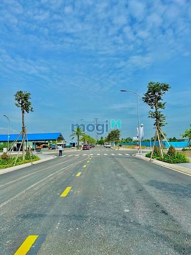 4255327 ảnh đại diện 1