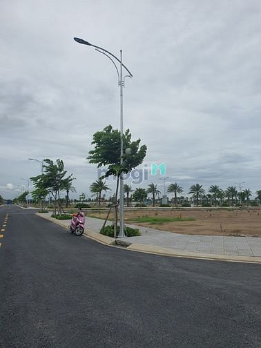 4255325 ảnh đại diện 1